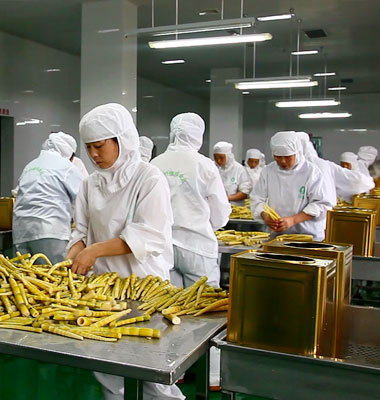 竹笋休闲食品