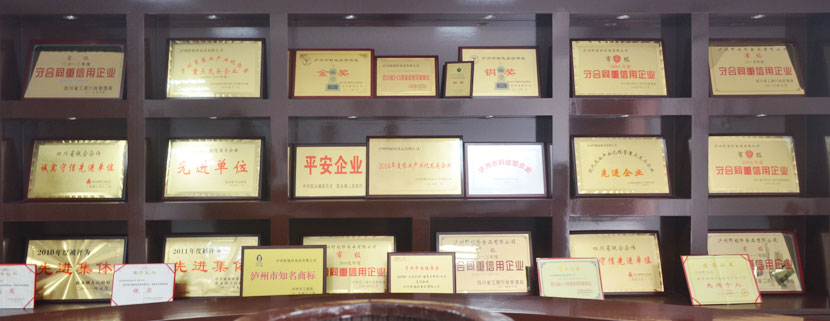  泸州野植珍食品有限公司