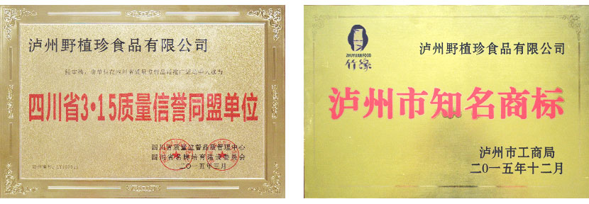 竹笋休闲食品,野植珍荣誉