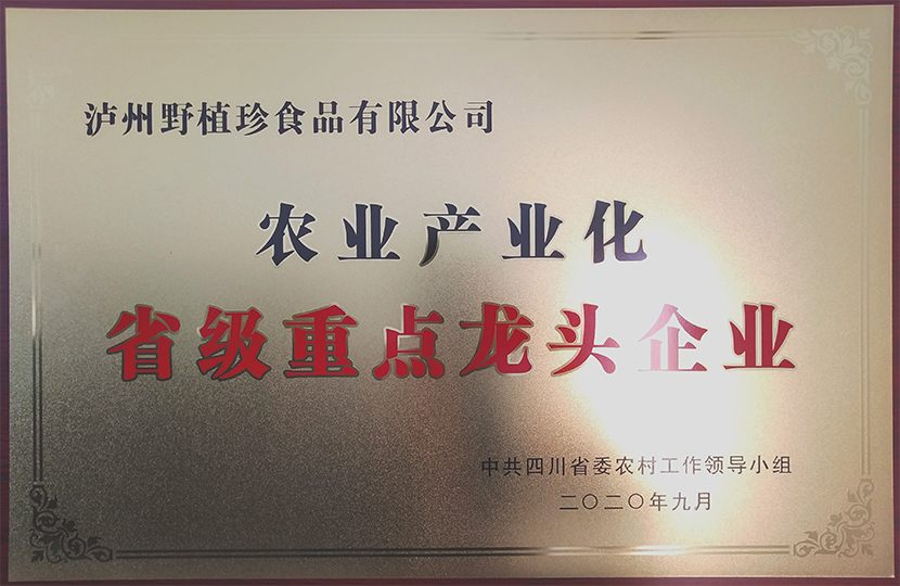 未标题-8.jpg